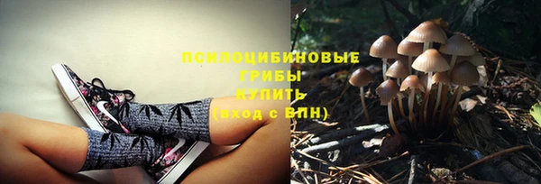 стафф Алзамай