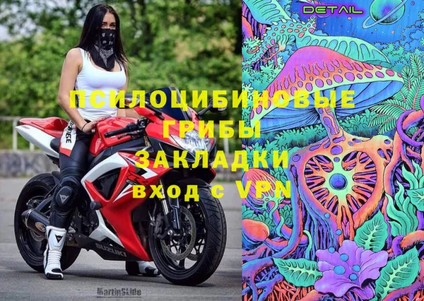 стафф Алзамай
