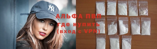 стафф Алзамай