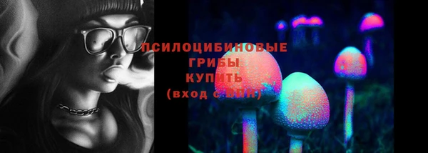стафф Алзамай